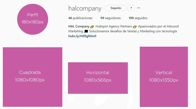 hal_company_tamaños_instagram.jpg