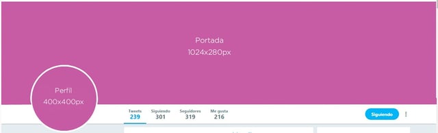 hal_company_tamaños_twitter.jpg