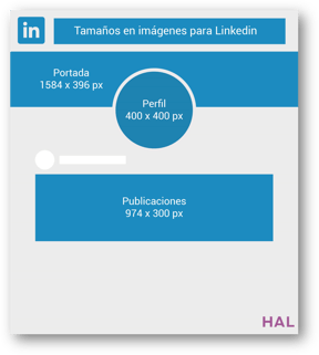 HAL Company - medidas Linkedin