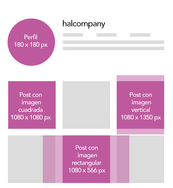 HAL - Redes Sociales